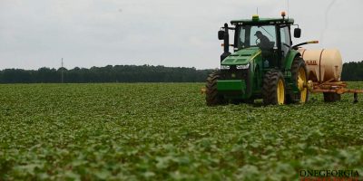 Georgia Agricultural Industry